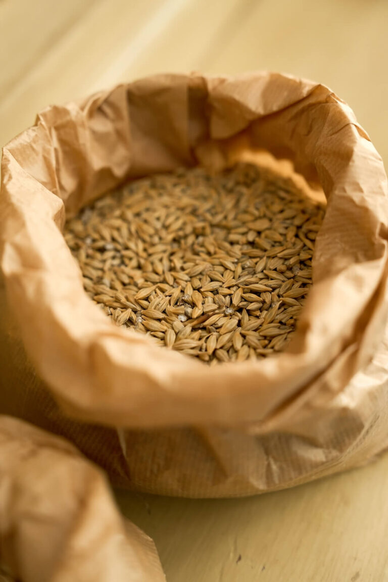 cereali e legumi